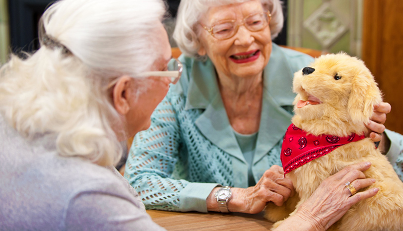 Joy For All Companion Therapy Robotic Pets for Alzheimer's and Seniors w/ Dementia