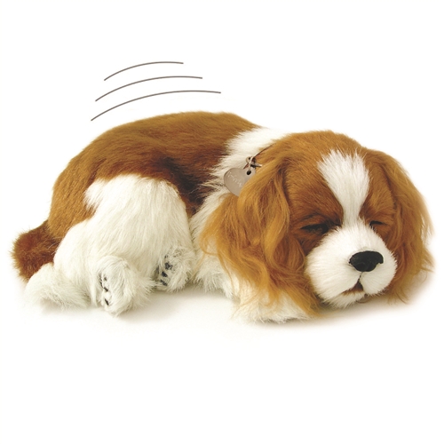 Perfect Petzzz Cavalier King Charles | Pet Therapy for Dementia