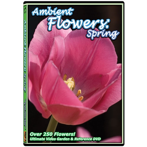 Ambient Flowers: Spring DVD | DVDs for Dementia | Alzstore